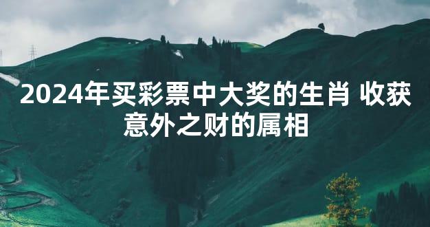 2024年买彩票中大奖的生肖 收获意外之财的属相